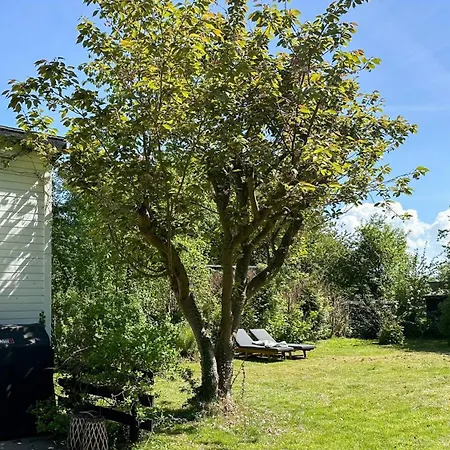 Architectural Gem In Near The * Hornbæk