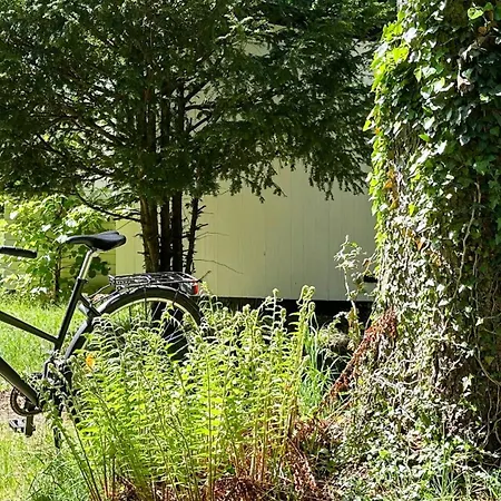 Architectural Gem In Near The